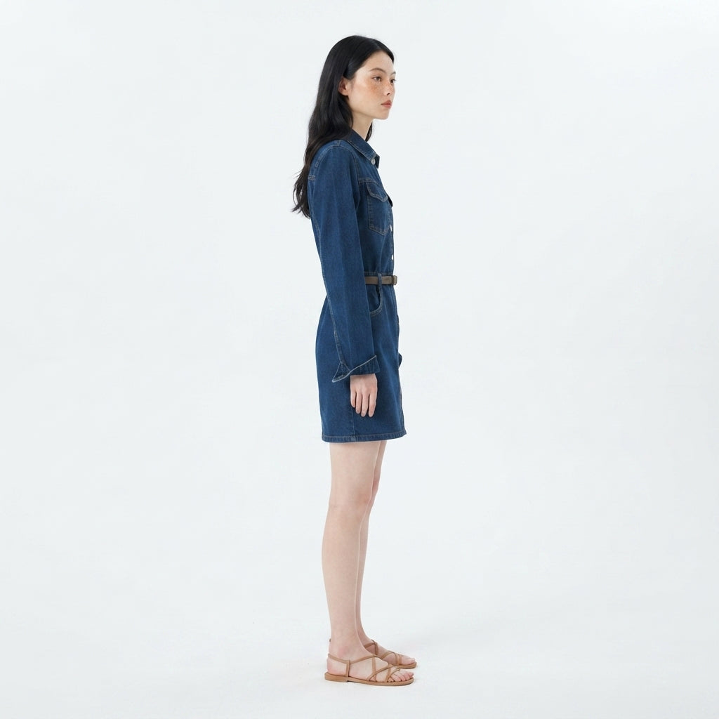 Hudson Belted Denim Shirtdress