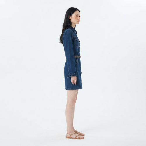 Hudson Belted Denim Shirtdress