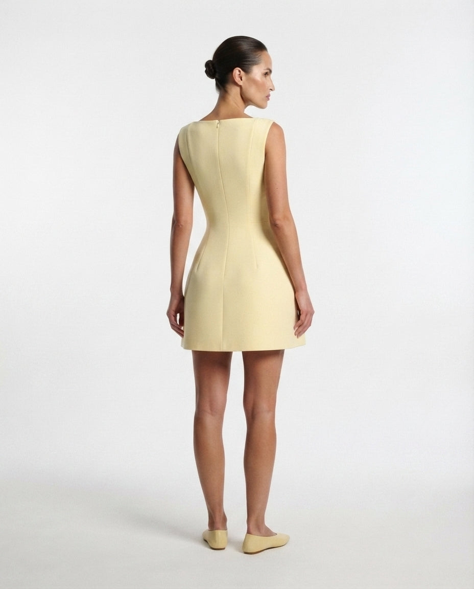 Sleeveless Fit and Flare Mini Dress