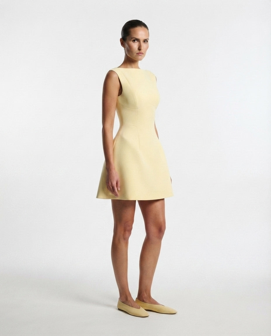 Sleeveless Fit and Flare Mini Dress